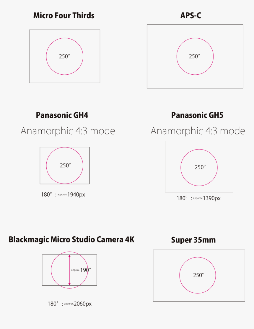 Circle, HD Png Download