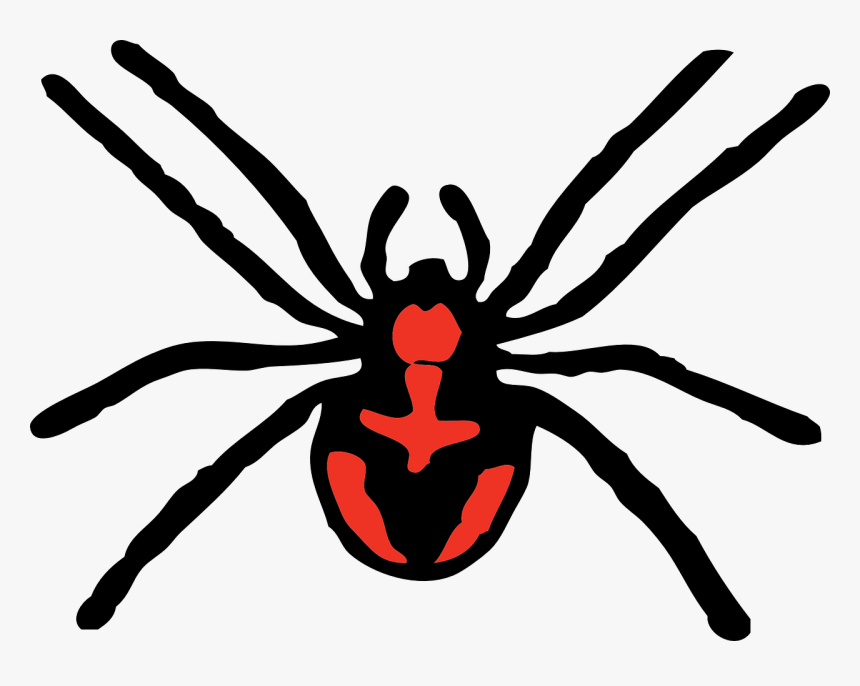 Spider Cliparts, HD Png Download