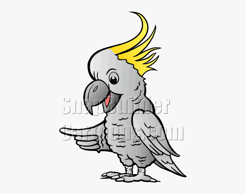 Sulphur Cockatoo Pointing Left - Illustration, HD Png Download