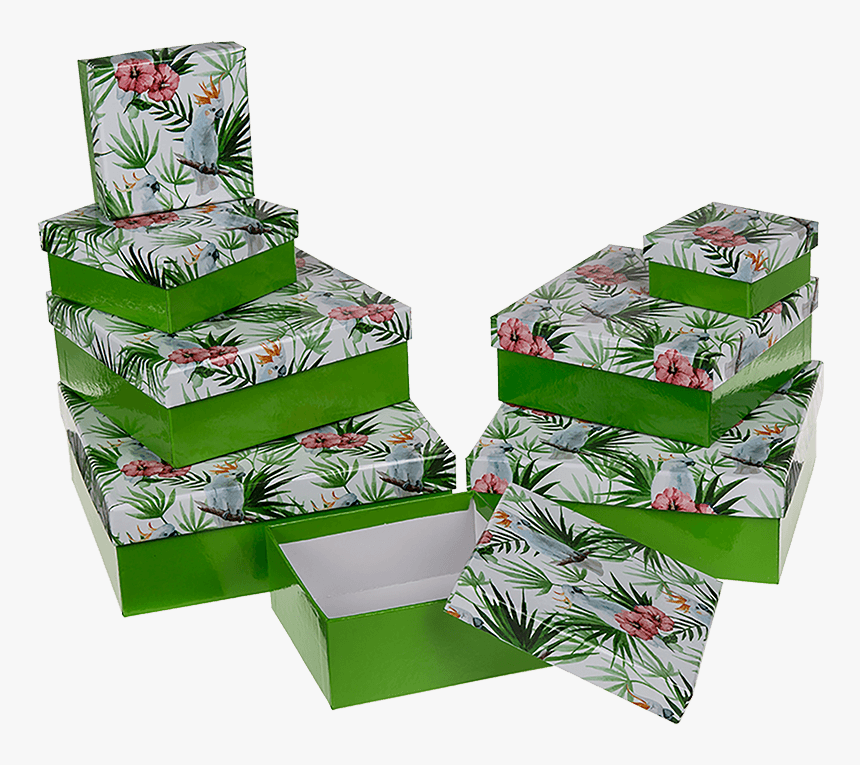 Christmas Tree, HD Png Download