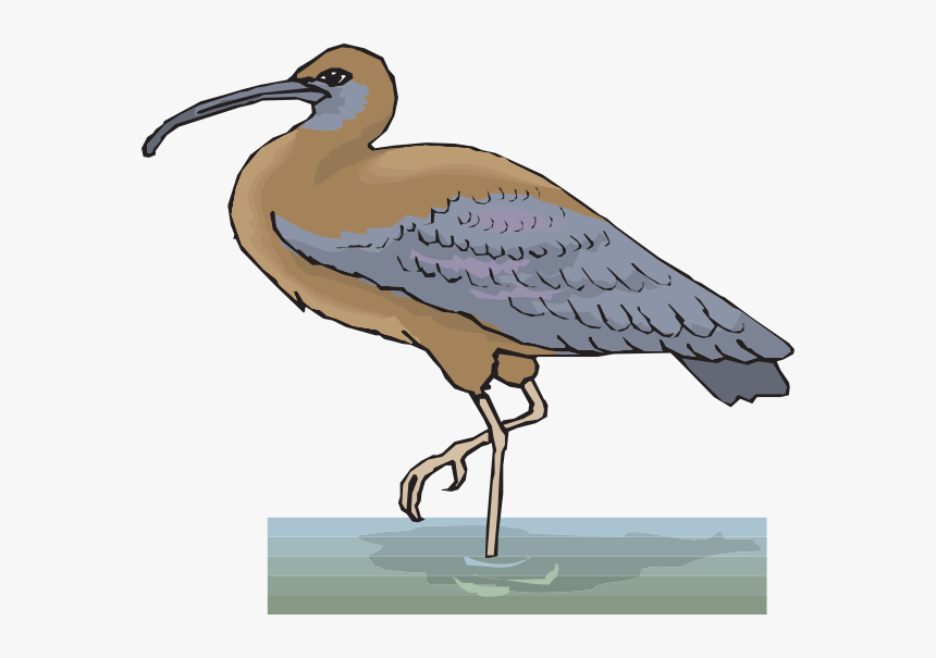 Ibis In Water Svg Clip Arts - Water Bird Vector Png, Transparent Png