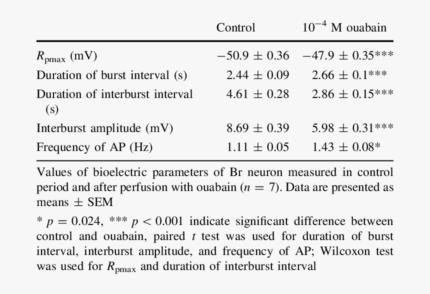 Screenshot, HD Png Download