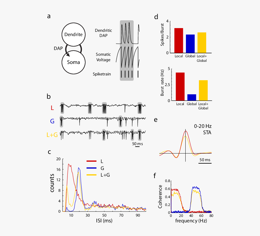 Diagram, HD Png Download