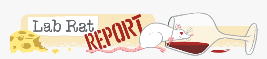 Illustration, HD Png Download