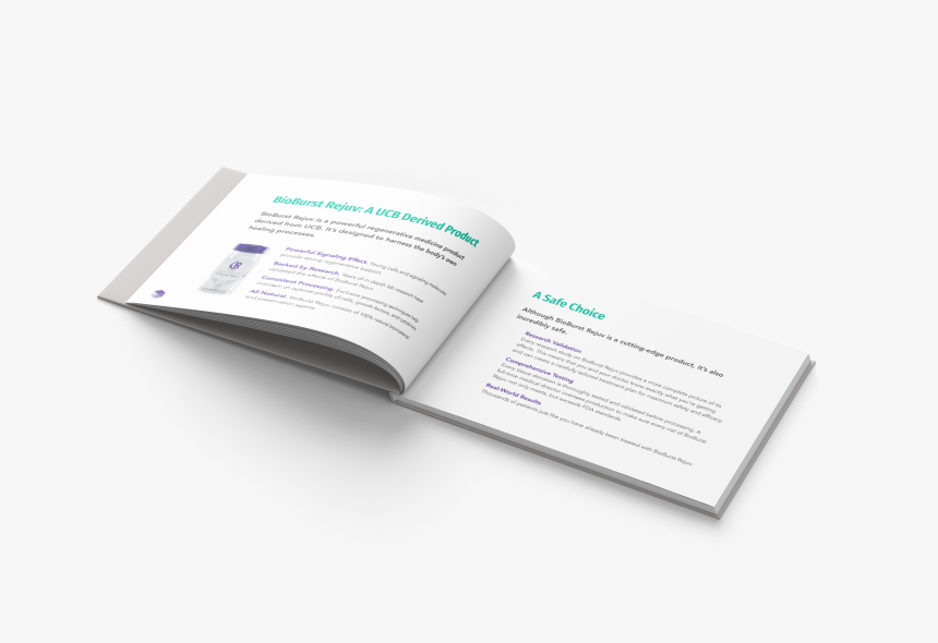 Document, HD Png Download