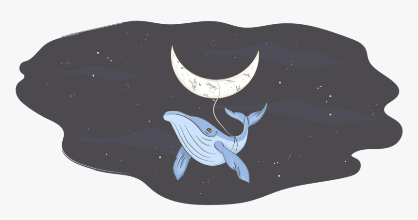 Killer Whale, HD Png Download
