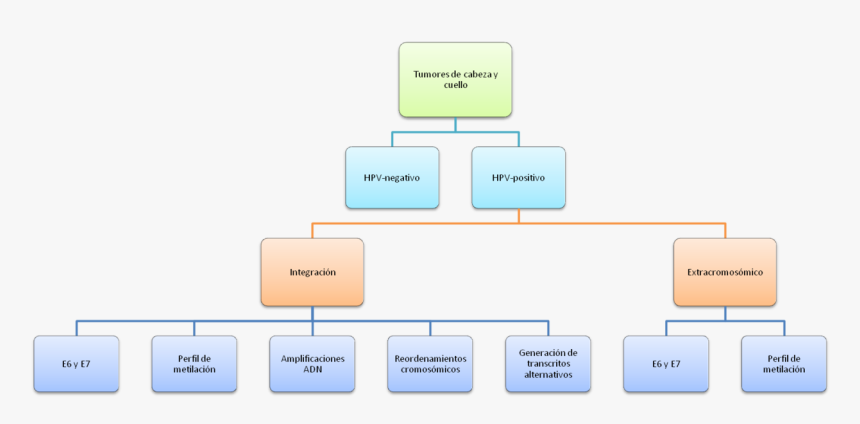 Diagram, HD Png Download