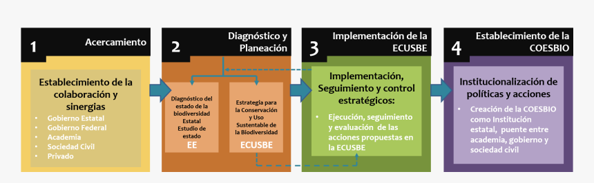 Estrategias De Conservación De La Biodiversidad, HD Png Download