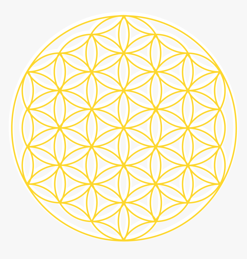 Flowers Of The Universe, HD Png Download