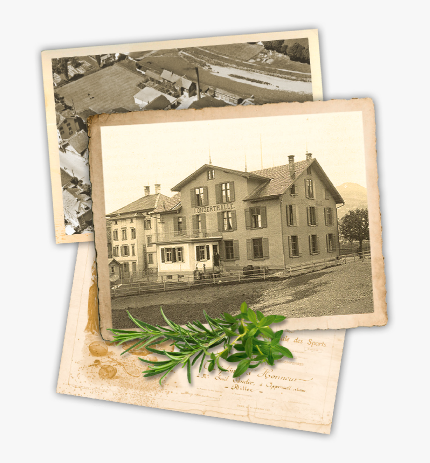 Picture Frame, HD Png Download