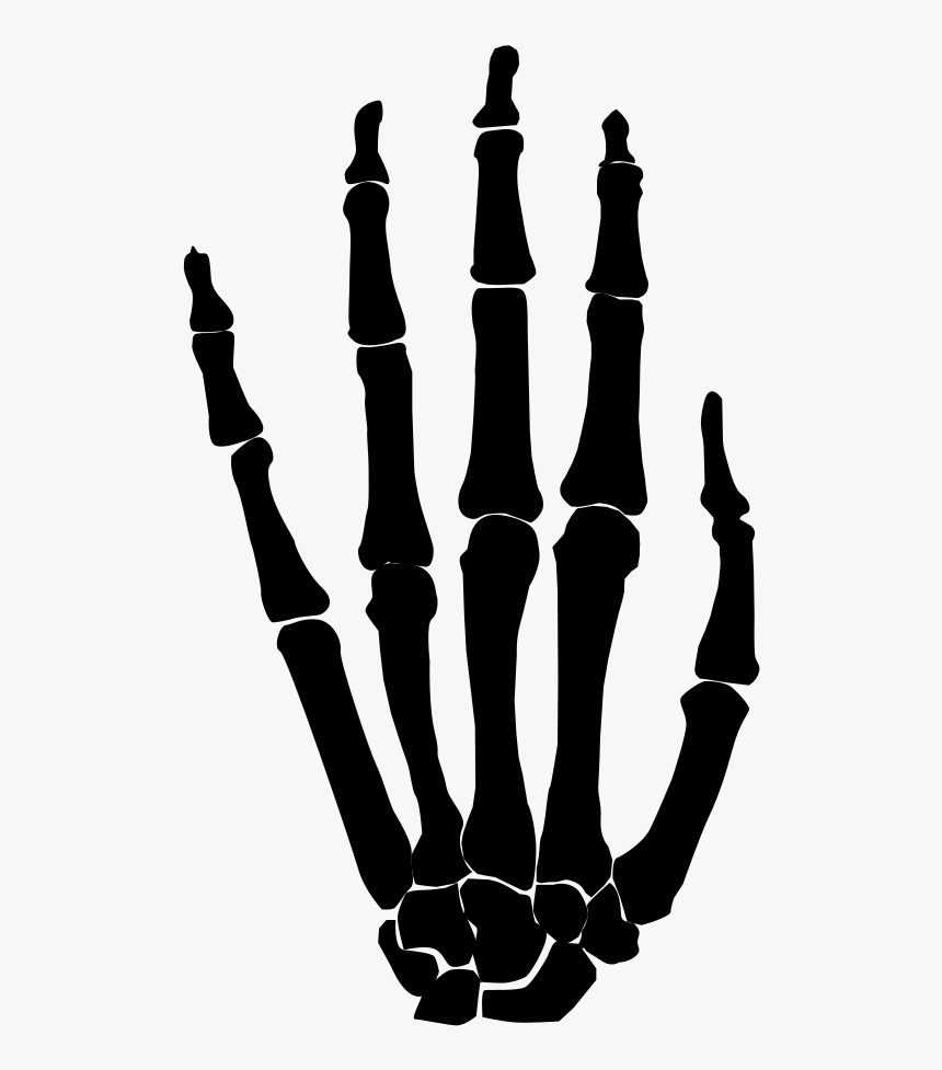 Silhouette, HD Png Download