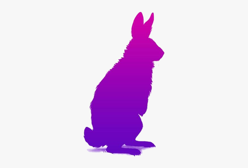 Arctic Hare Png Clipart, Transparent Png