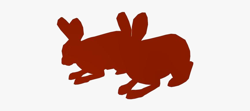 Transparent Arctic Hare Png Image, Png Download