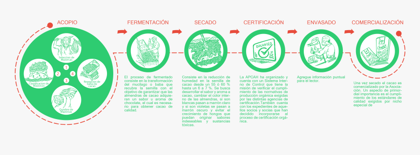 Circle, HD Png Download