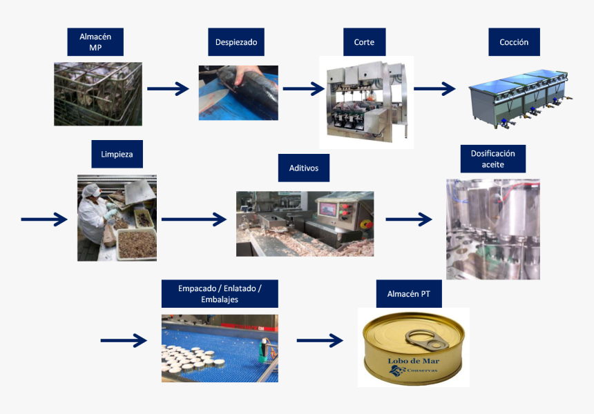 Brochure, HD Png Download