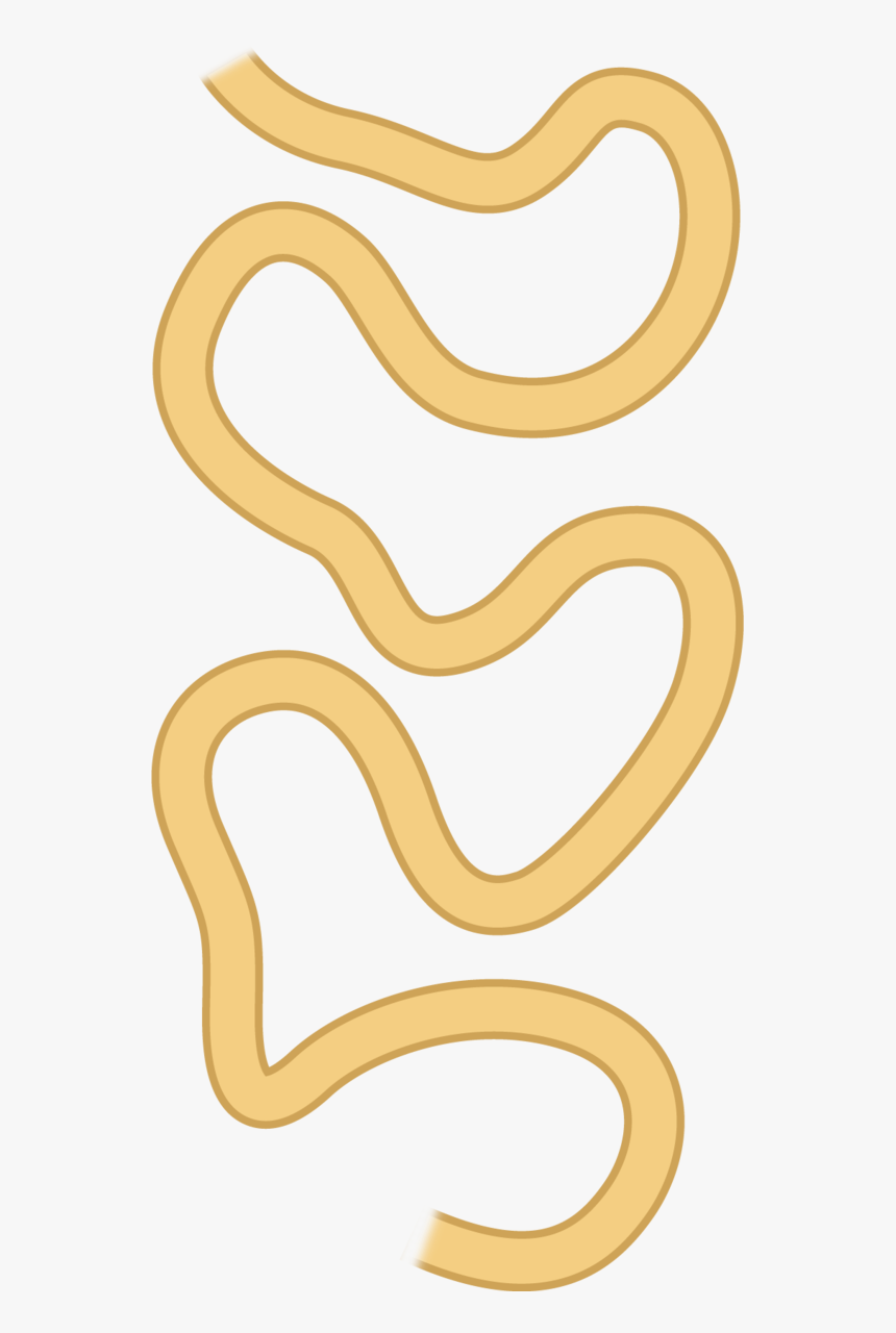 Clip Art, HD Png Download
