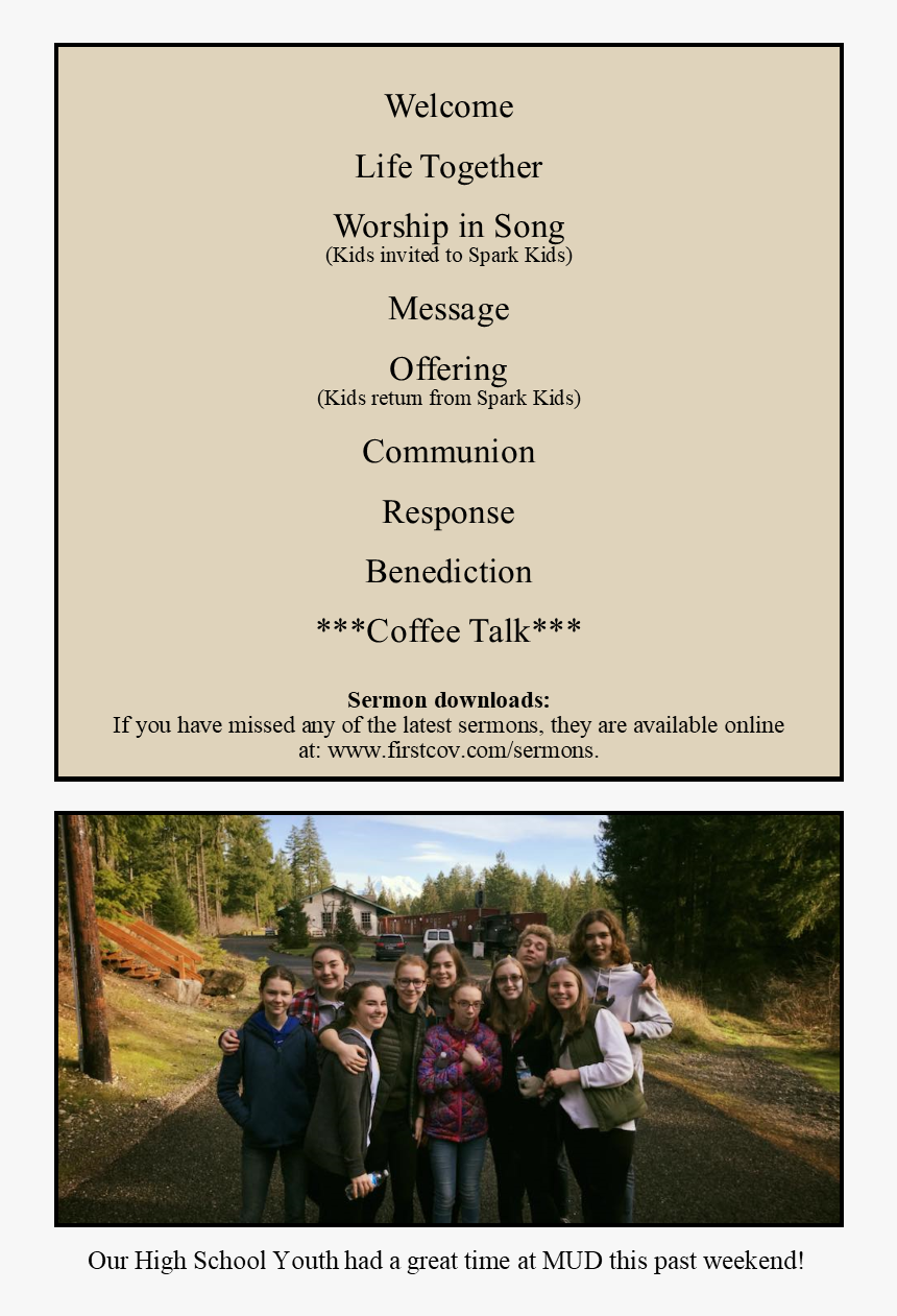 Transparent Office Plant Png - Tree, Png Download