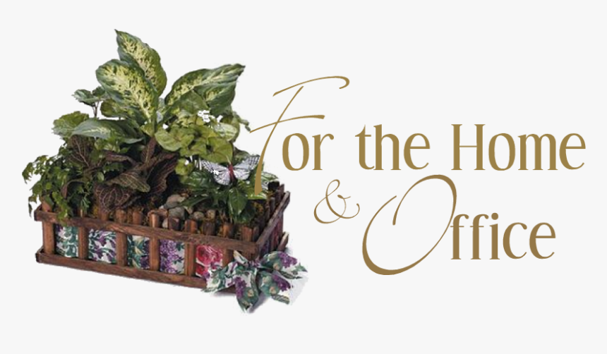 Dish Garden Designs, HD Png Download