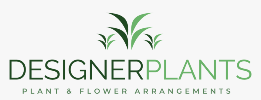 Catering, HD Png Download