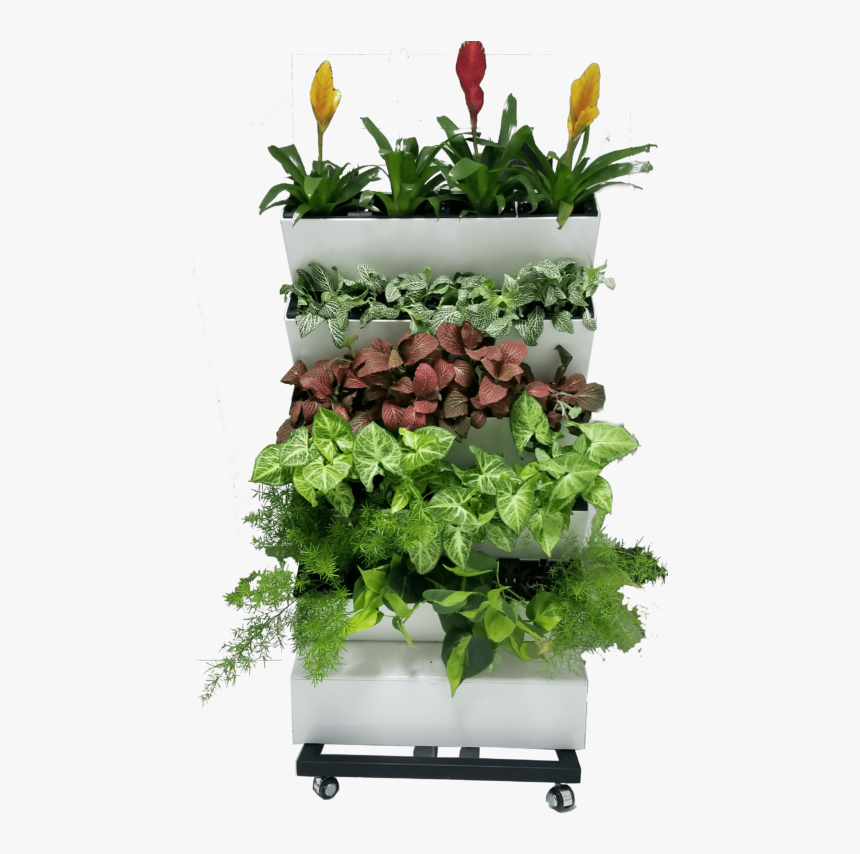 Flowerpot, HD Png Download