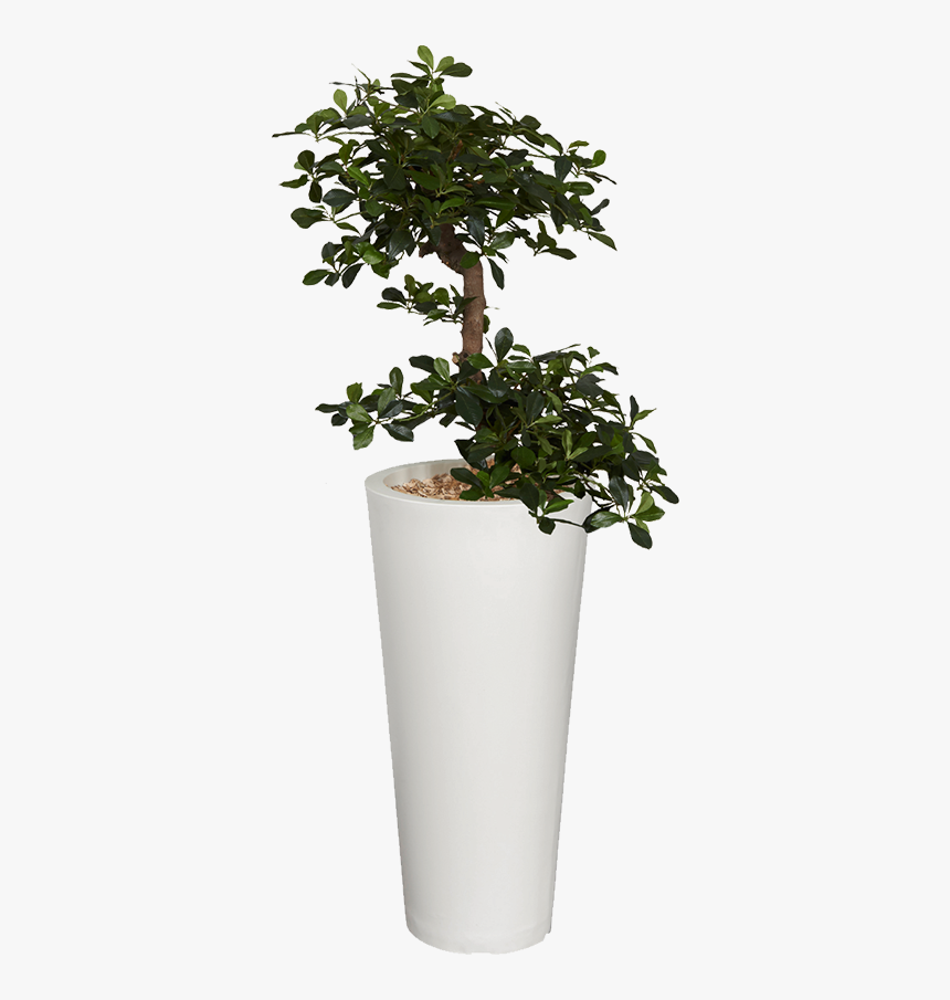 Flowerpot, HD Png Download