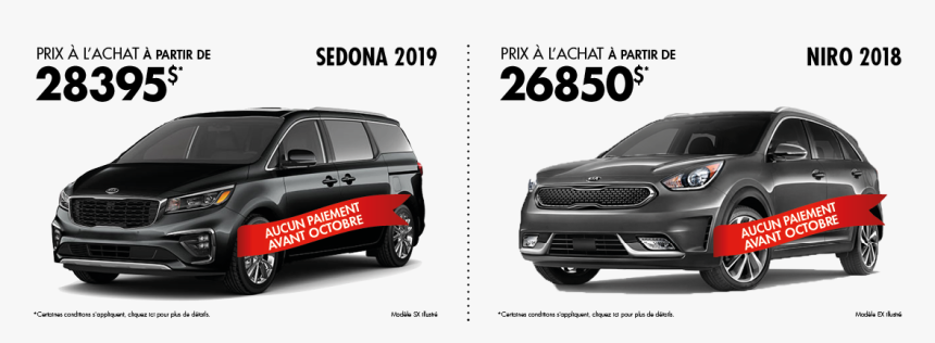 Zandbak Schildpad, HD Png Download