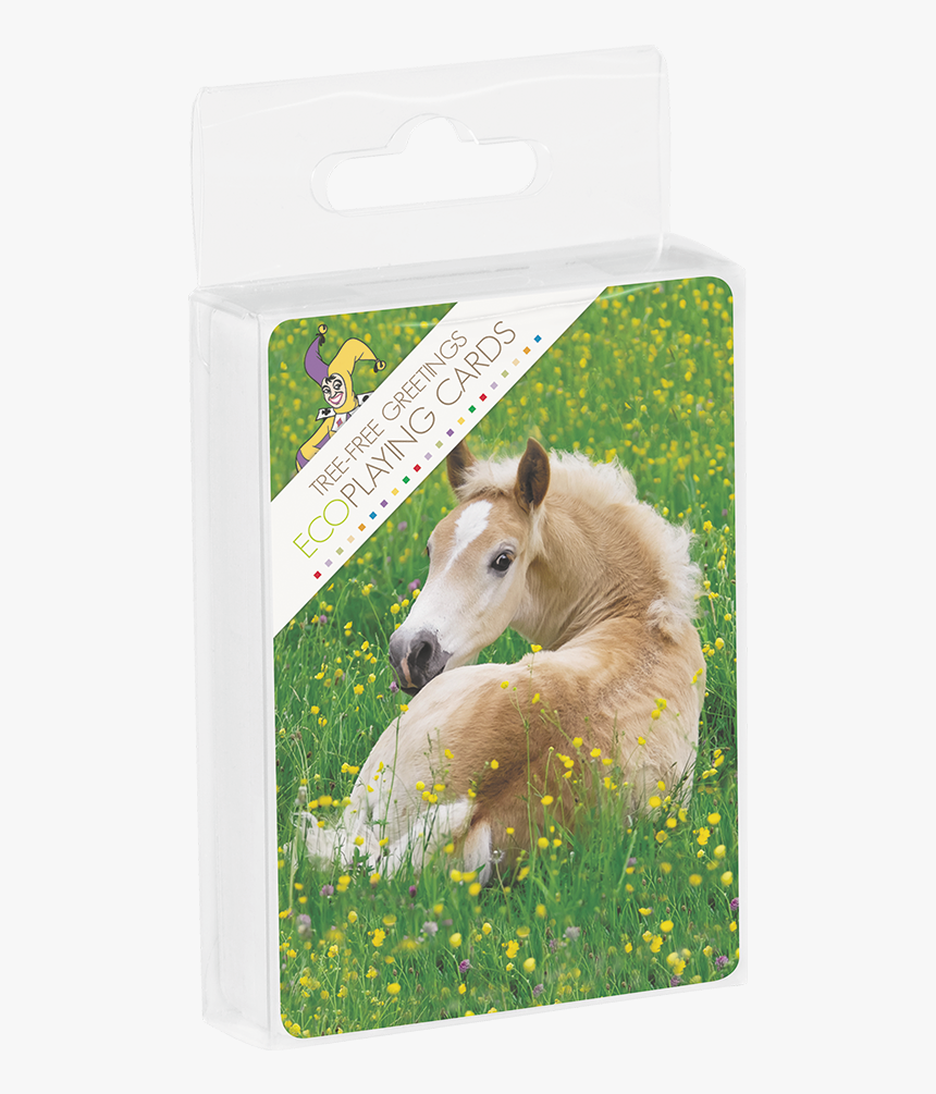 Cd49856 Poetry In Motion Nq Playing Cards 
 Title Cd49856 - Cute Potros, HD Png Download