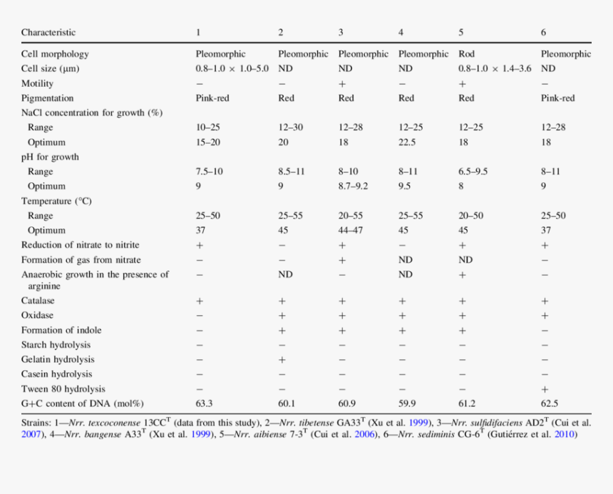 Lactic Acid Bacteria Biochemical Test, HD Png Download