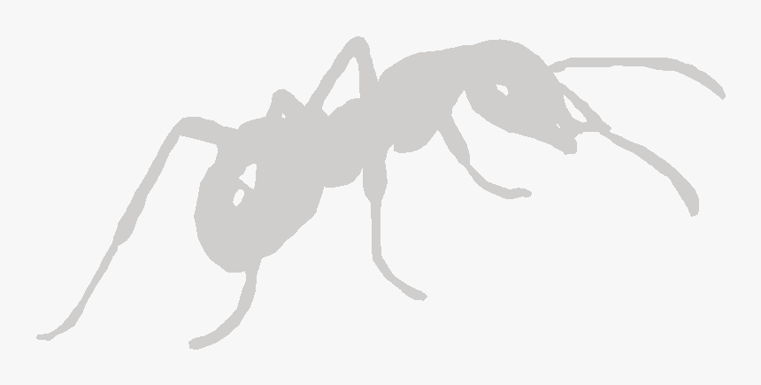 Bar-kayma3, HD Png Download