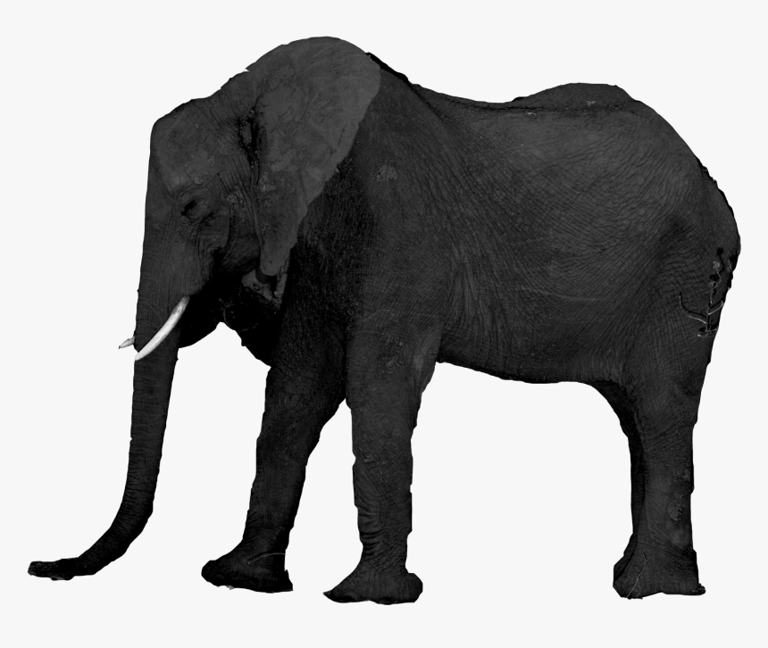 Iofmoon, HD Png Download