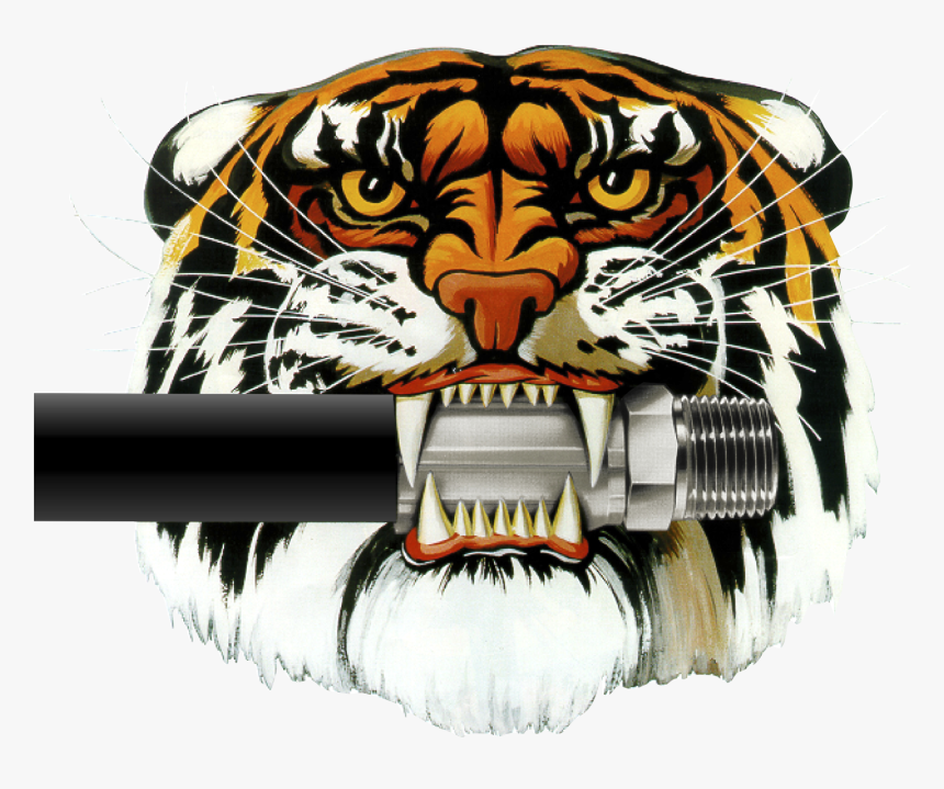 Colliflower - Parker Store Hose Tiger, HD Png Download