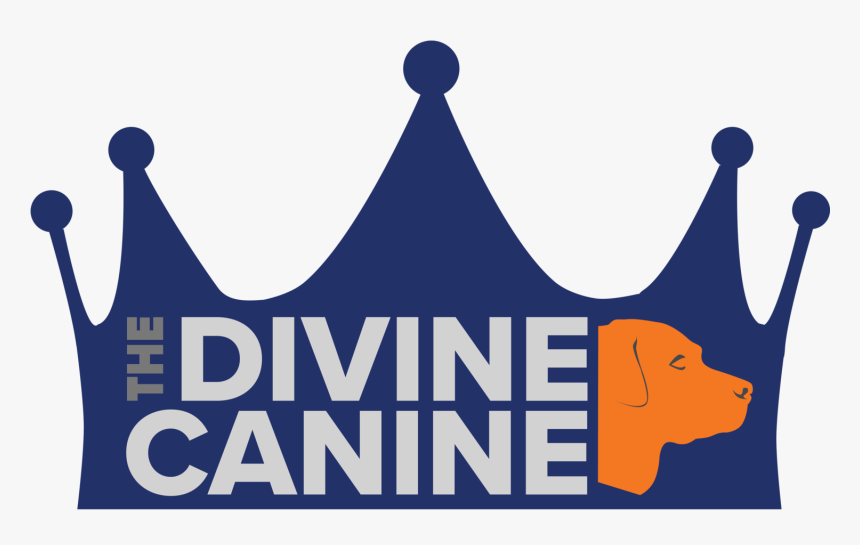 Dogs Of The Month Benson Winnie Divine, HD Png Download