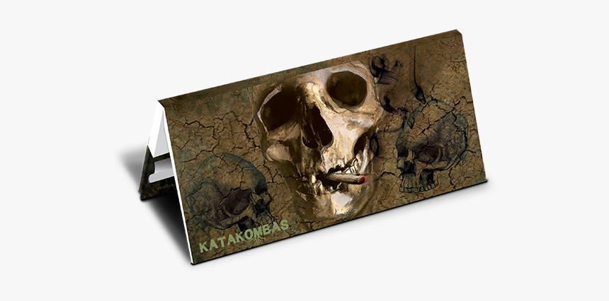 Anthropologist, HD Png Download