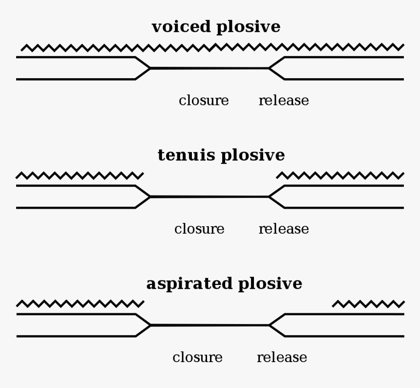 Flash Effect Inside The Phantom - Voice Onset Time, HD Png Download