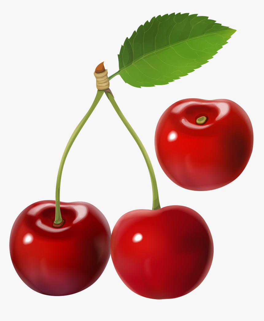 Image Gallery Yopriceville High, HD Png Download