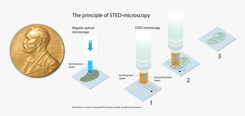 2014 Nobel Prize In Chemistry - Nobel Prize Chemistry 2014 Super Resolution, HD Png Download