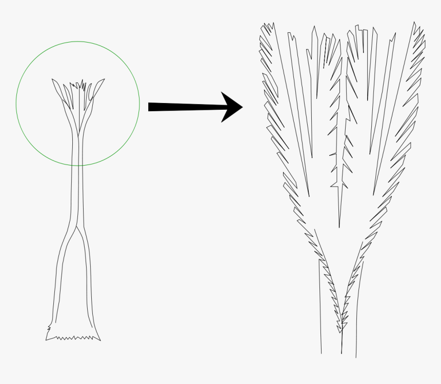 Drawing, HD Png Download