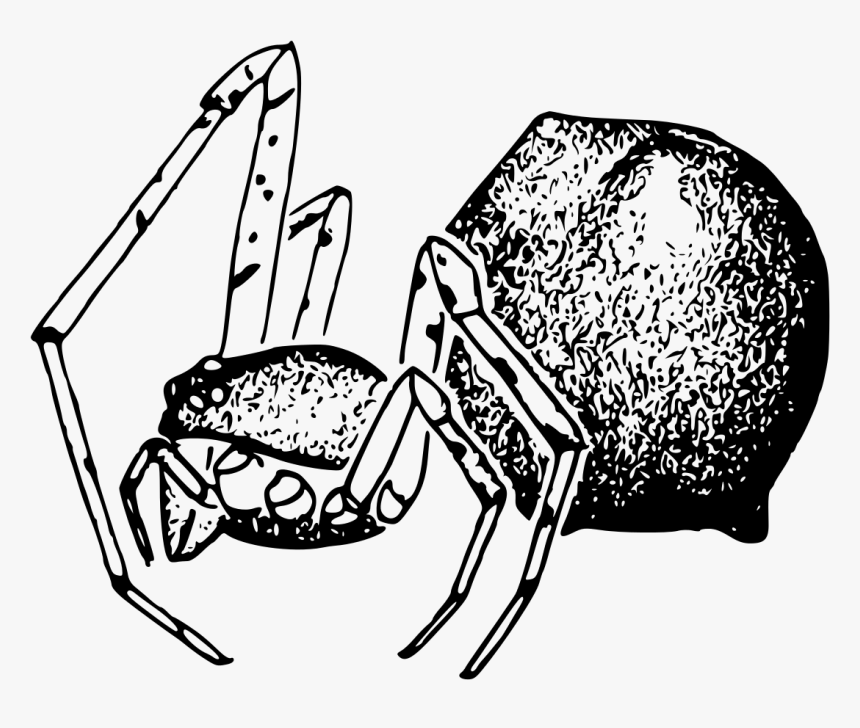 Illustration, HD Png Download