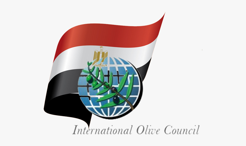 International Olive Council, HD Png Download