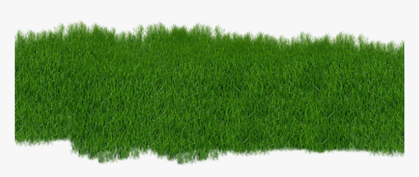 The Basic Principles Of Lawncare - Garden Png, Transparent Png