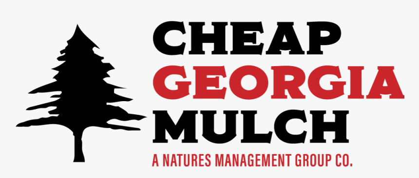 Tree, HD Png Download