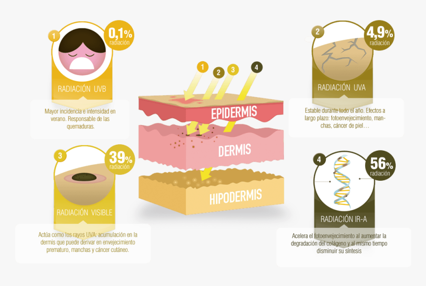 Infografia De La Radiacion Solar, HD Png Download
