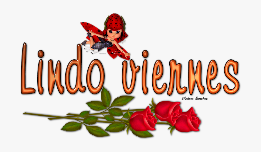 Evergreen Rose, HD Png Download