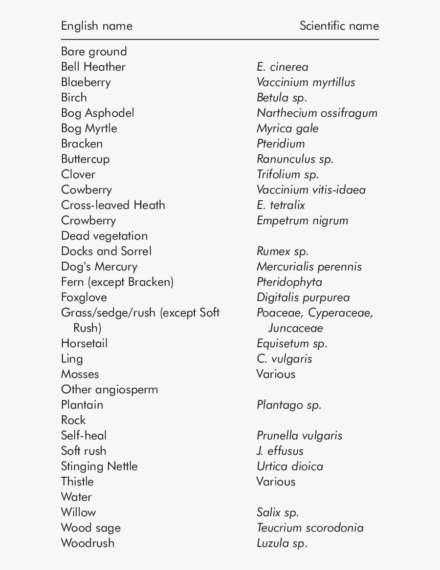 Screenshot, HD Png Download