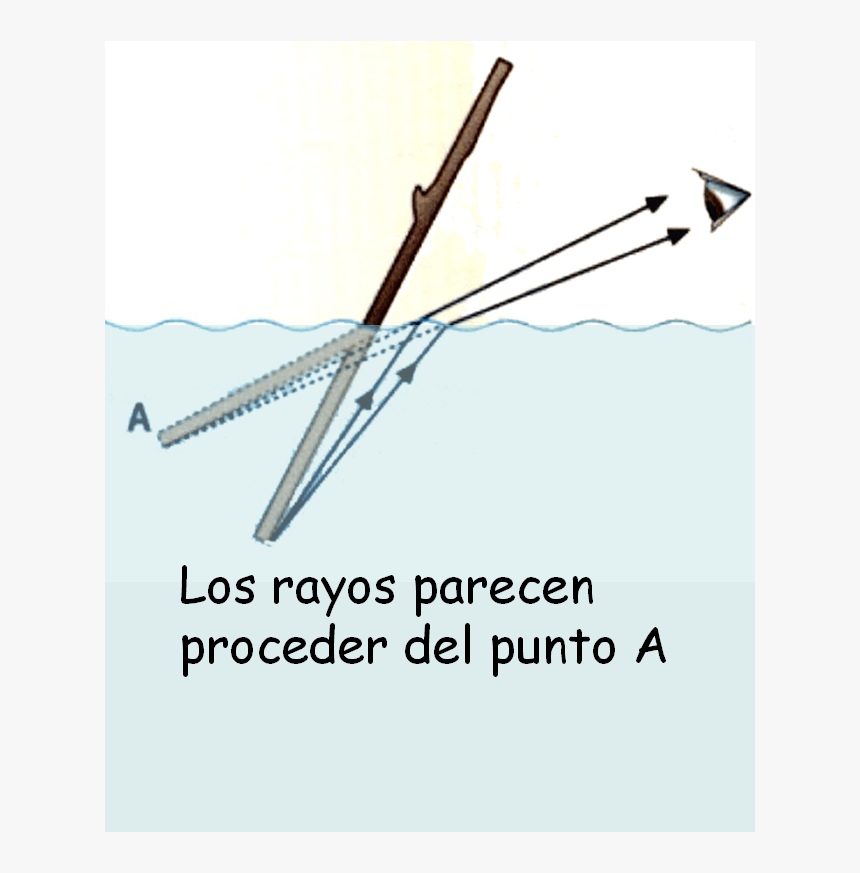 Palo En El Agua Refraccion, HD Png Download