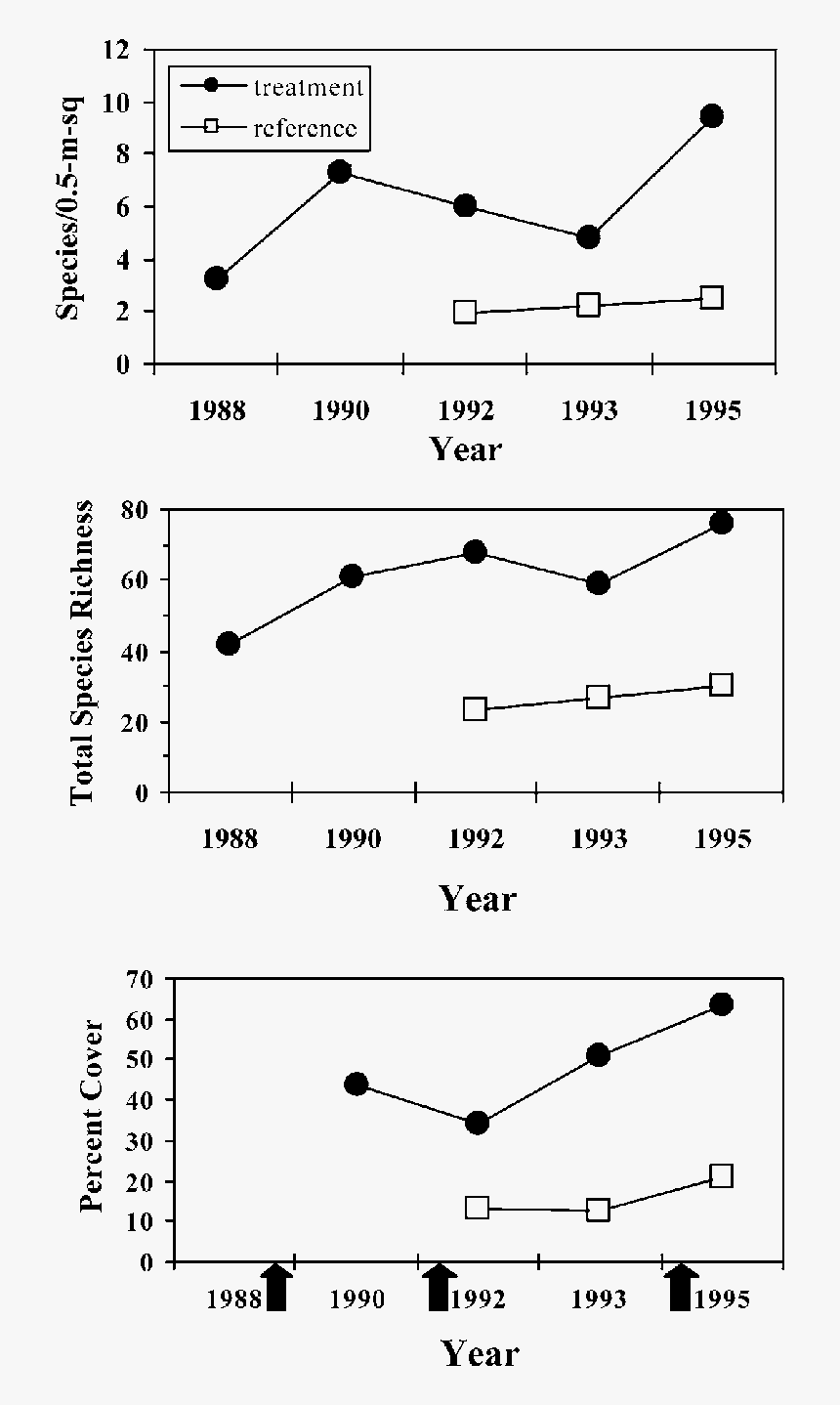 Plot, HD Png Download