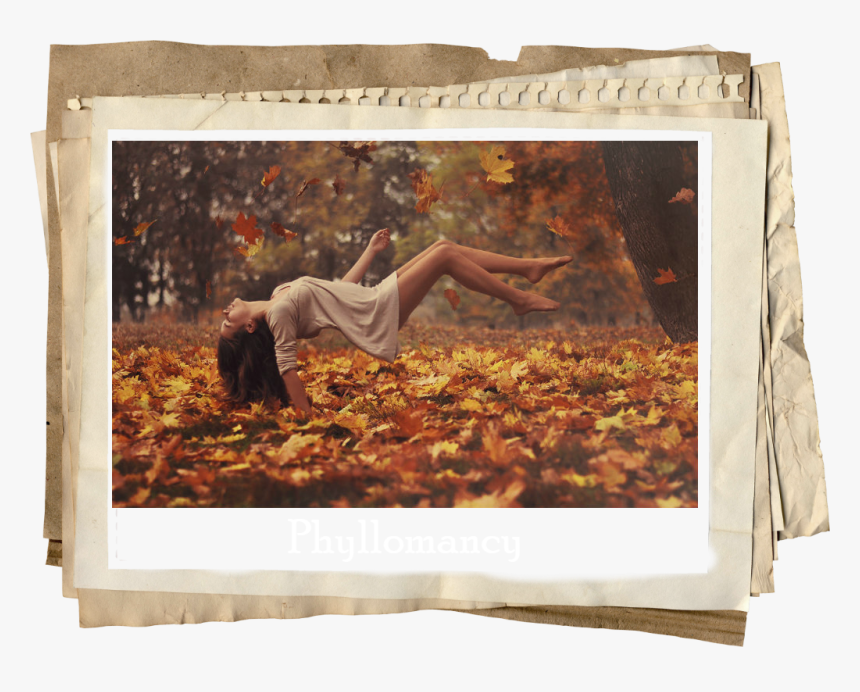Phyllomancy - Cool Picture Frames Png, Transparent Png