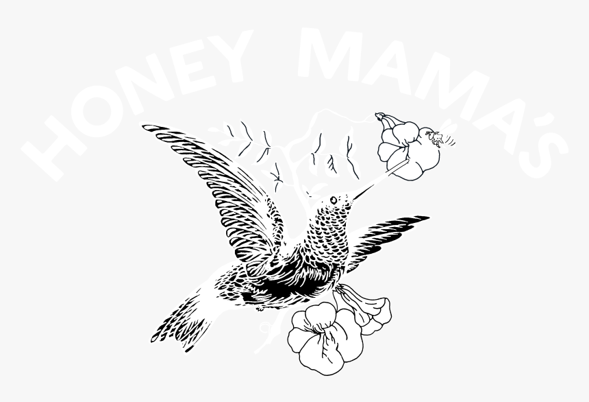 Dark Background Png, Transparent Png