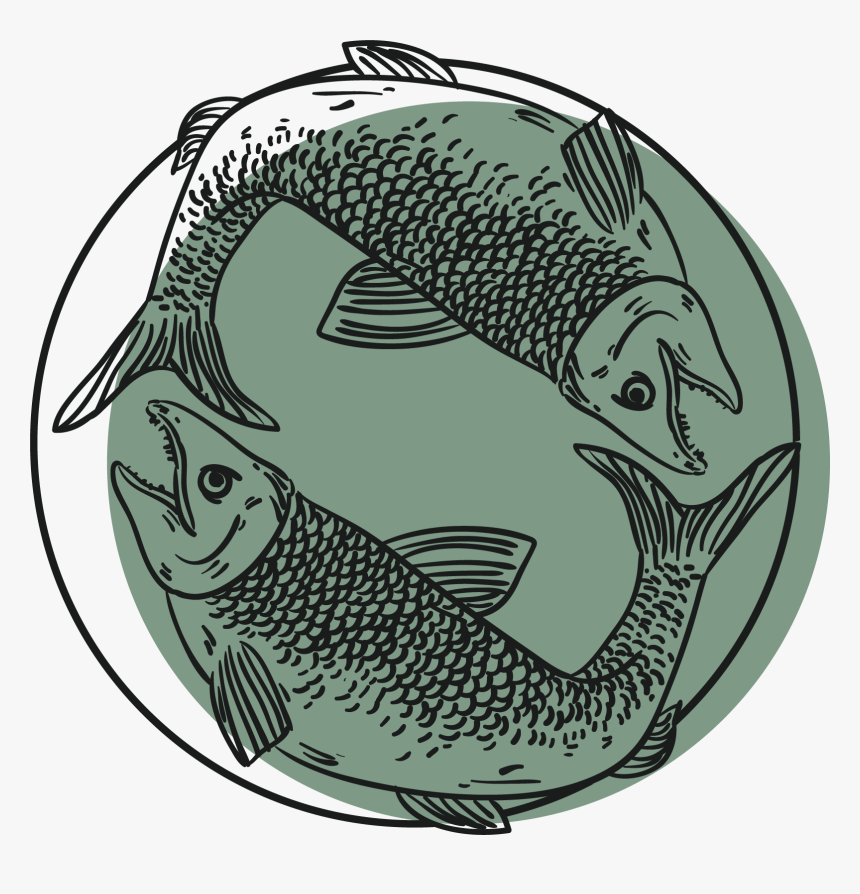 Carp, HD Png Download