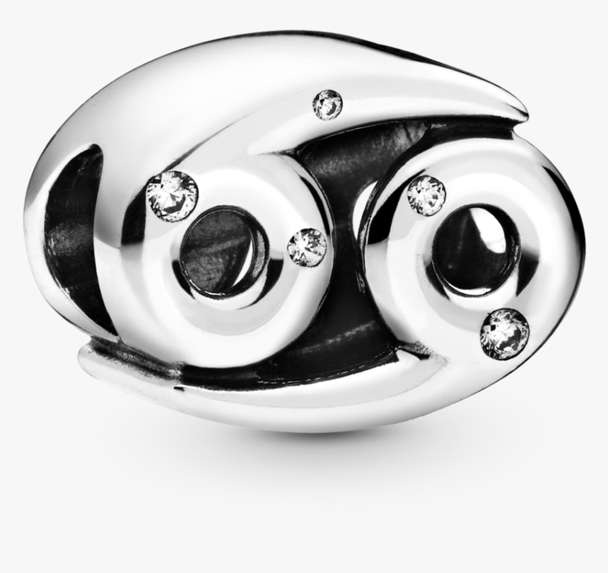 Pandora - Title - Tag - Surveillance Camera, HD Png Download